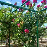 Lejlighed 3 Bedroom Beautiful In Maslenica