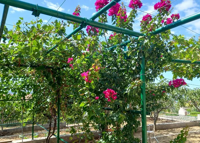 Apartment 3 Bedroom Beautiful In Maslenica